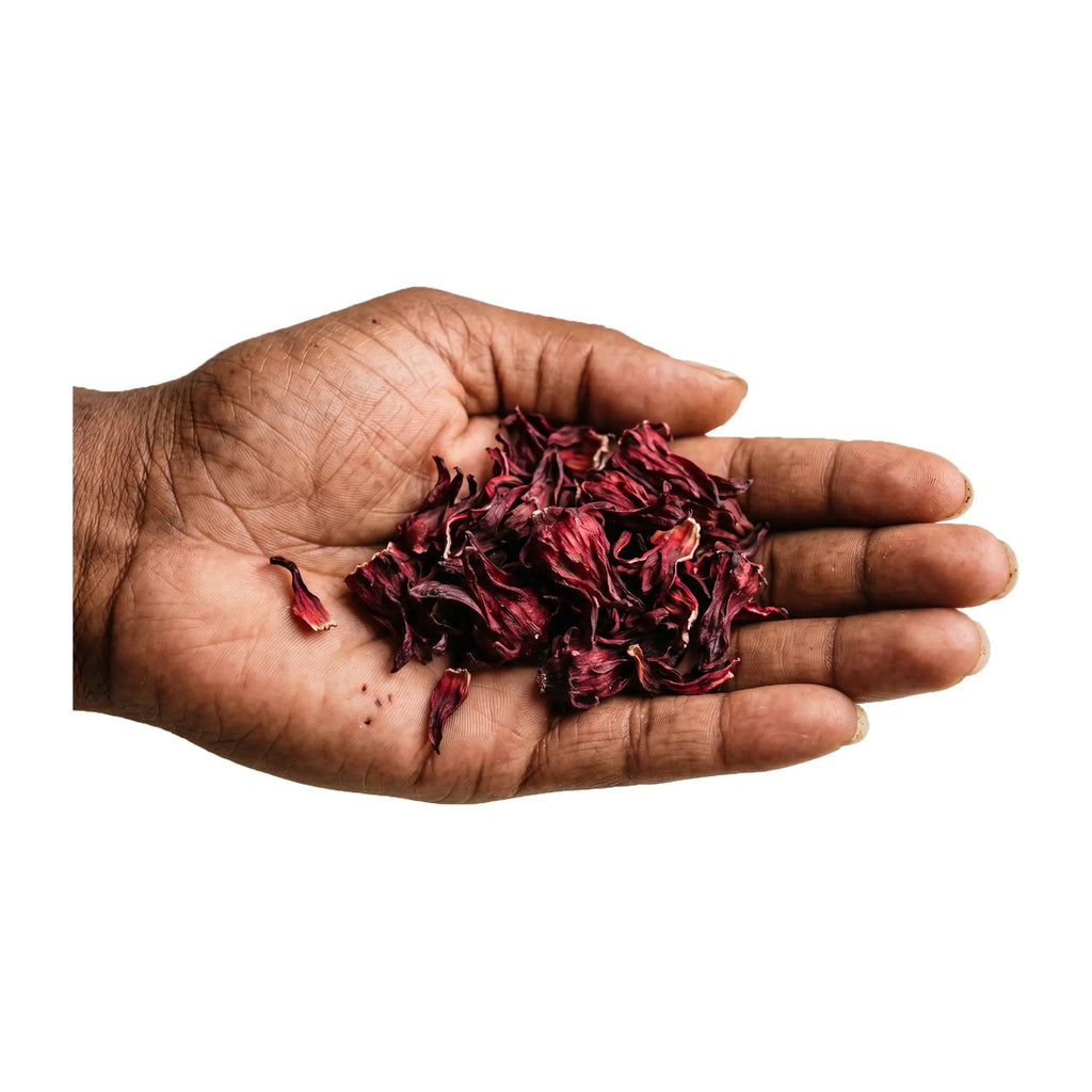 Fleurs d'hibiscus séchées dans une main
